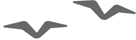 broken image